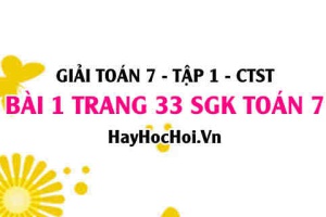 Giải bài 1 trang 33 Toán 7 Tập 1 SGK Chân trời sáng tạo